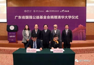 突然懂事儿了的碧桂园