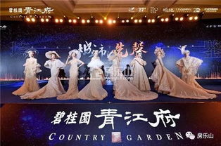 倾城之声 2019碧桂园青江府品牌暨产品发布会圆满落幕