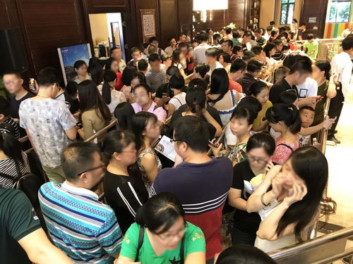 金牌户型,热销产品,买少见少