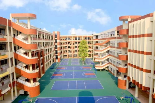 央企首秀,日销九成 中交世通新城首开大捷,红动全城