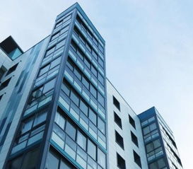 碧桂园期中考稳居房企第一，优质产品与校友会共筑品牌价值