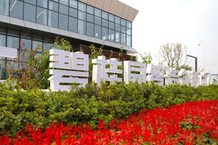 谢岗镇碧桂园智造创新中心展厅项目首期展厅正式开放