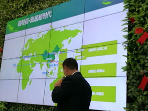 碧桂园森林城市退房风波 刷卡买房款竟流入食品公司，校友会背后疑云重重